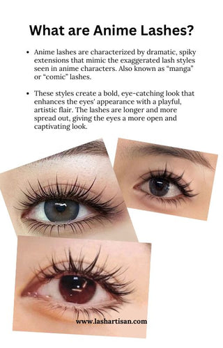 Anime Lash Guide 101